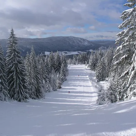 Chalet Vlasicki Vlasic